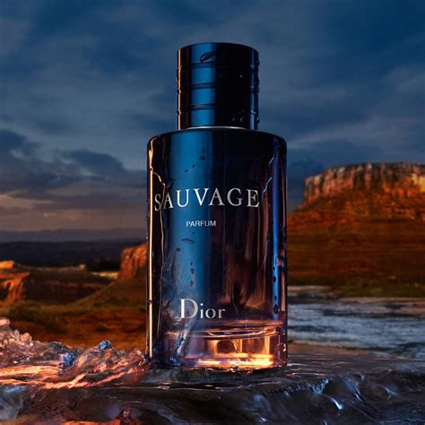 dior sauvage de parfum|Dior Sauvage best price.